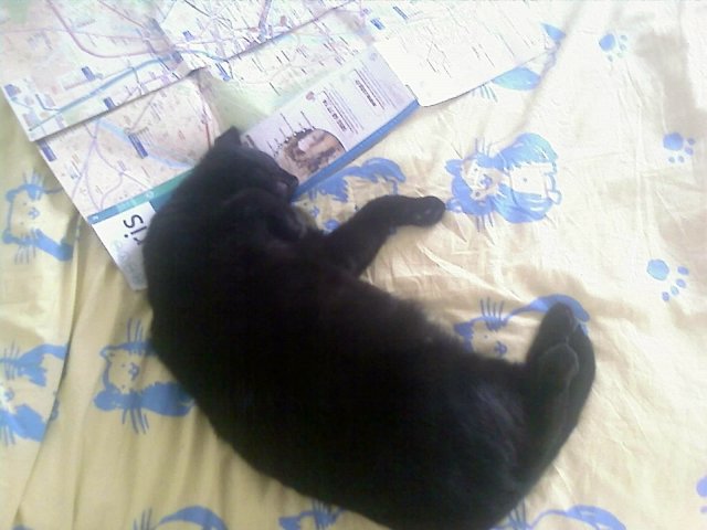 2008-04-26 Cadeau_l.jpg